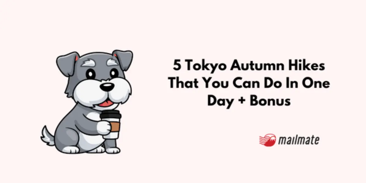 5 Tokyo Autumn Hikes That You Can Do In One Day + Bonus