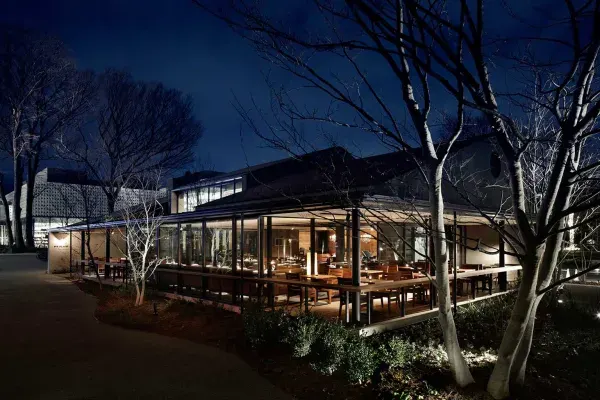 Best Restaurants in Daikanyama with Terrace Seats and More