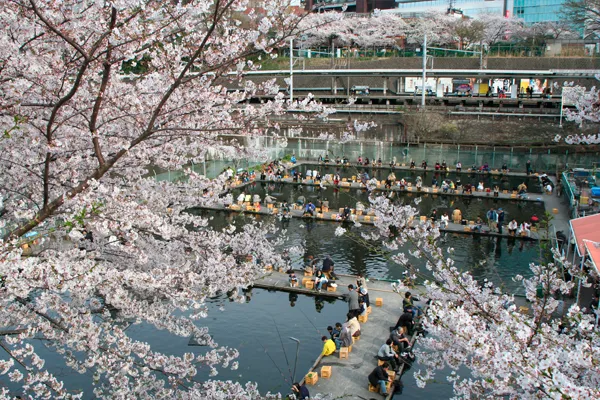 Go fishing without having to leave Tokyo