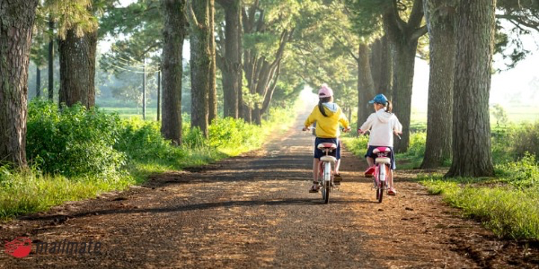 単身赴任時に住民票を移す必要はある？～判断基準と注意点を解説～