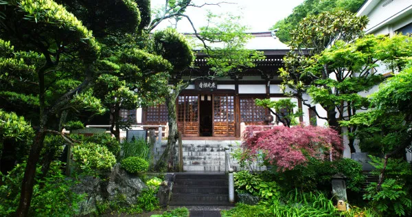 Tokozenji, Monthly Zazen Program