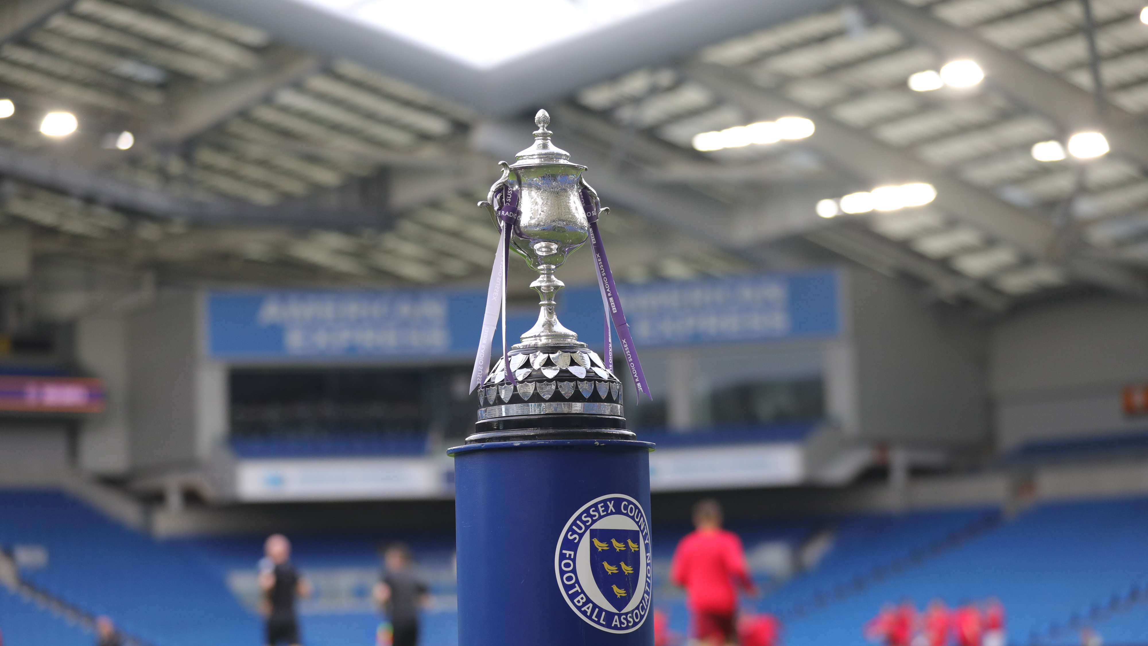 Albion face Haywards Heath Town in Sussex Senior Cup