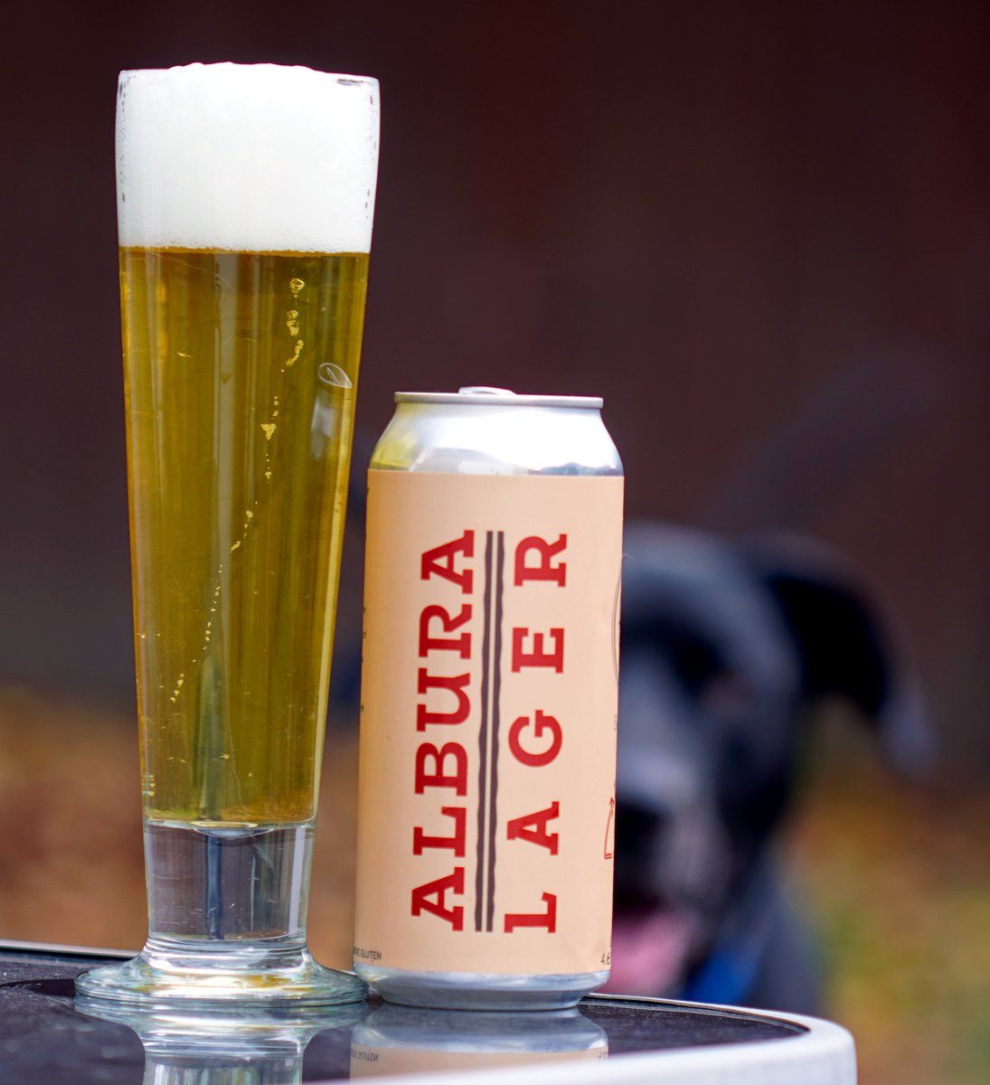 Albura Lager Draft