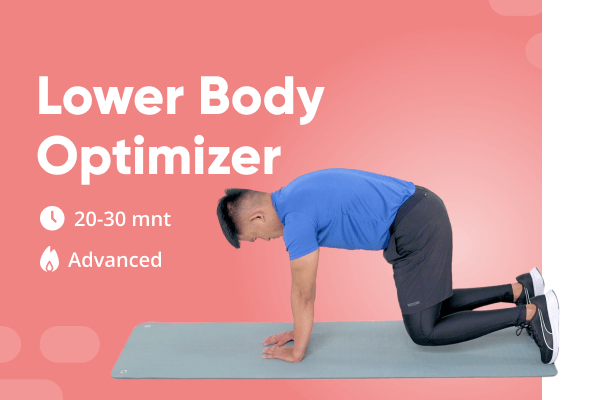 Lower Body Optimizer