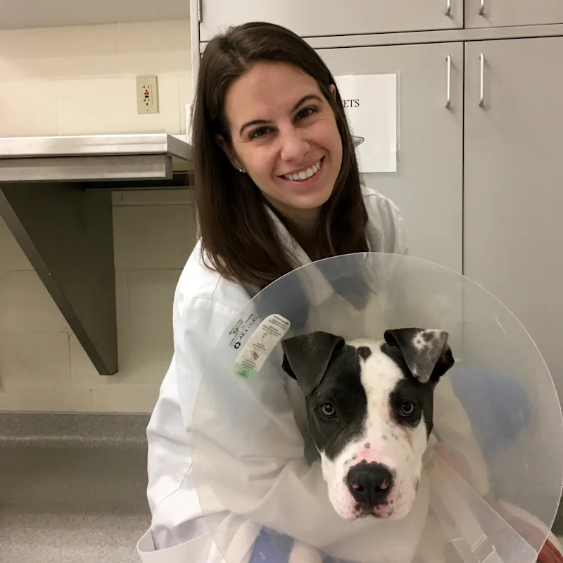 Dr. Breanna Hillman Dr. Breanna Hillman