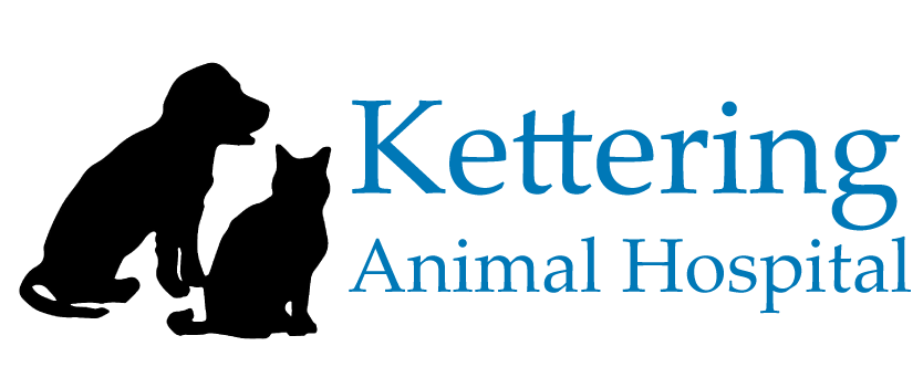 Homepage | Kettering Animal Hospital