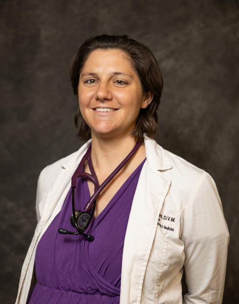 Lauren Landers (Schmidt)