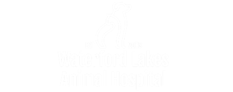 Waterford Lakes Animal Hospital Logo Waterford Lakes Animal Hospital Logo