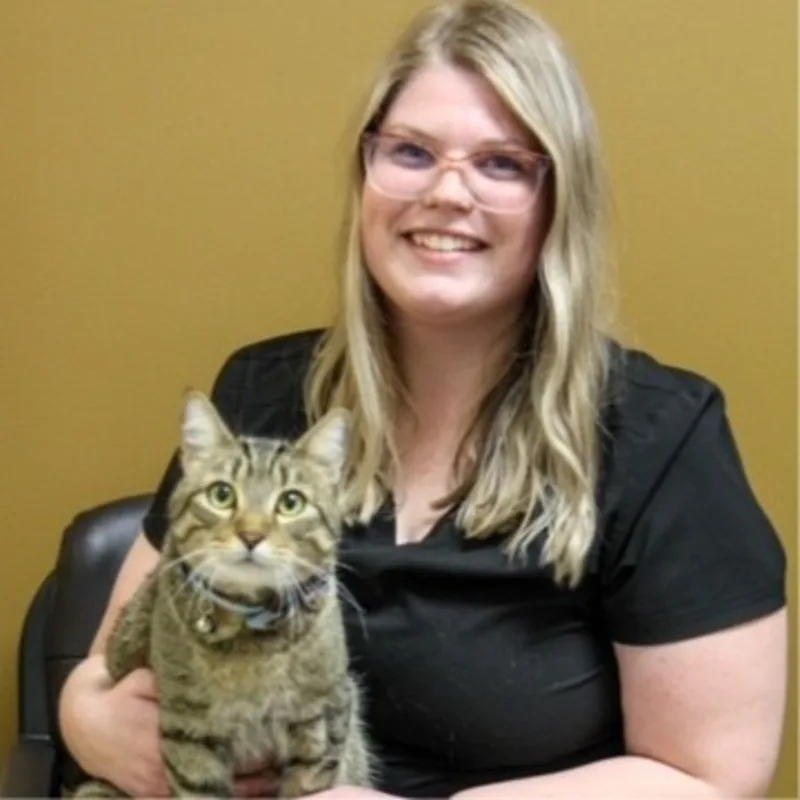 Levi Laing Levi Laing