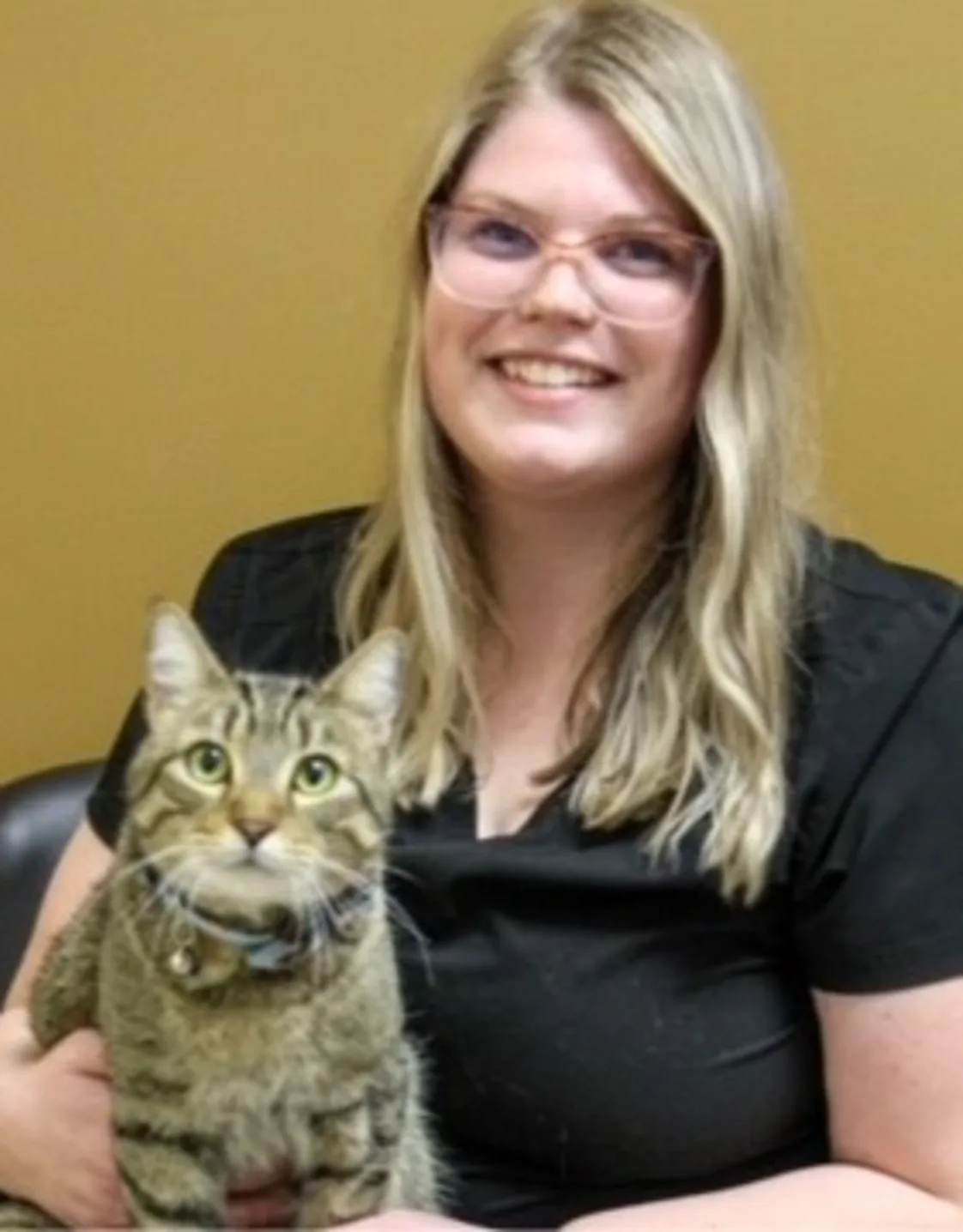 Levi Laing Levi Laing