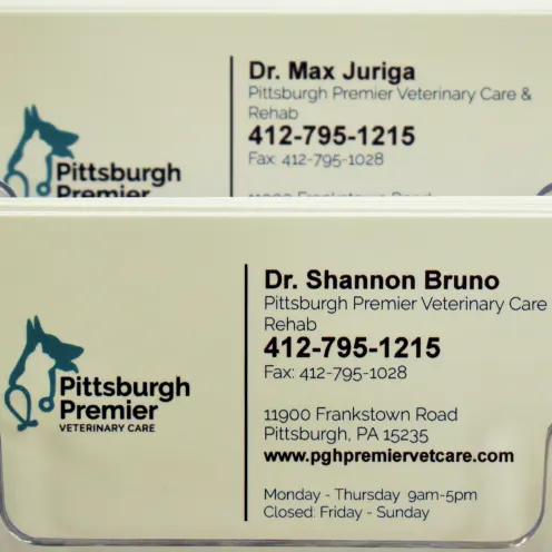 Office Business Cards