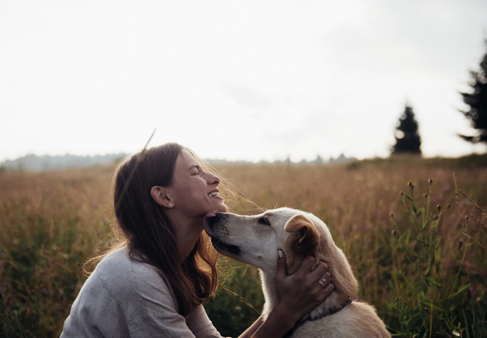 Woman and Dog in Field Woman and Dog in Field