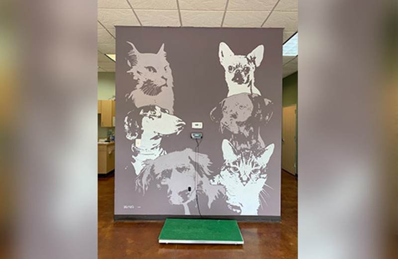 4 Dogs and 2 Cats Painted on Wall