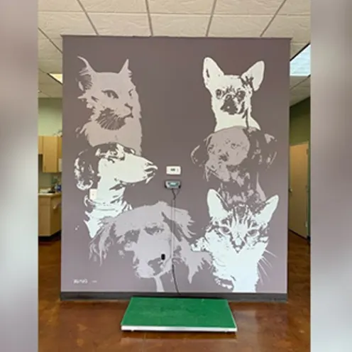4 Dogs and 2 Cats Painted on Wall