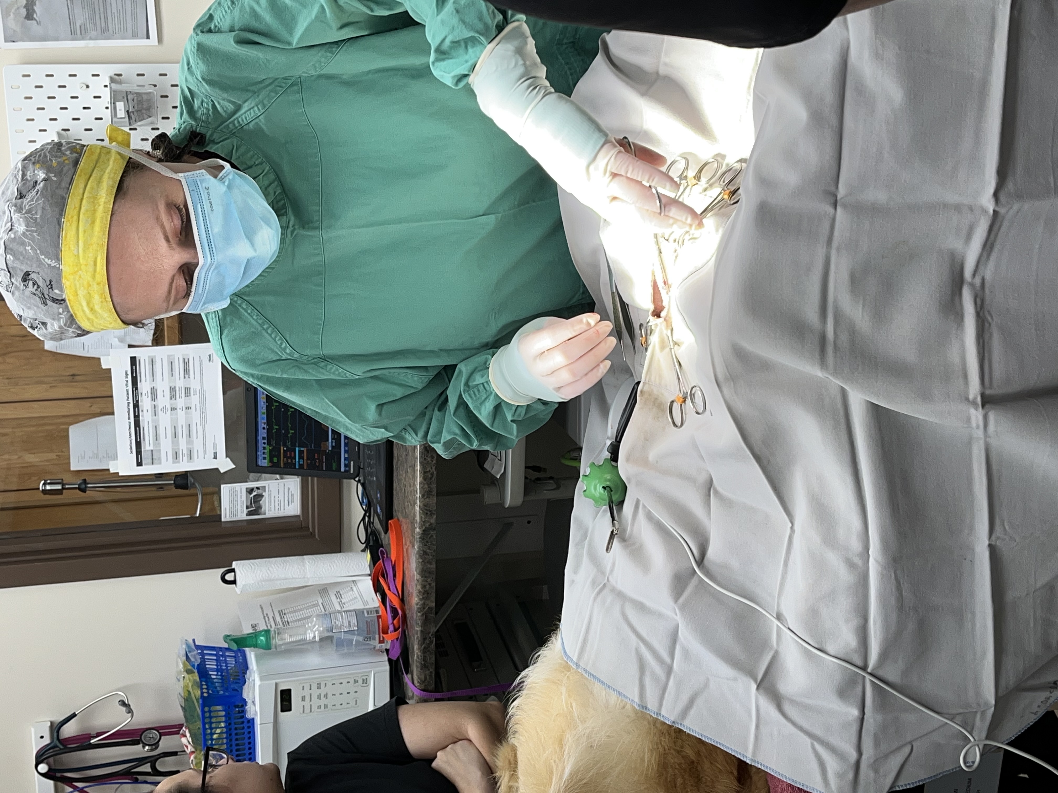 Doctor performing surgery