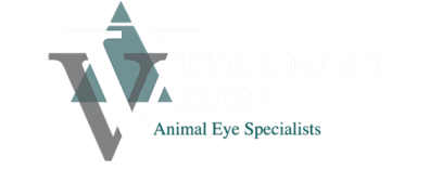Veterinary Vision Animal Eye Specialists Logo Veterinary Vision Animal Eye Specialists Logo