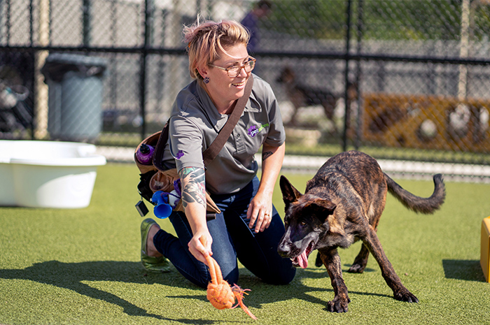 A PetSuites staff member plays with a dog outside. 