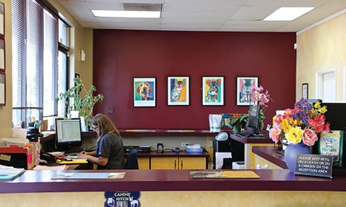 Reception desk at Evergreen Veterinary Clinic
