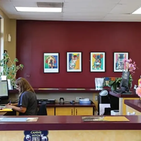Reception desk at Evergreen Veterinary Clinic Reception desk at Evergreen Veterinary Clinic