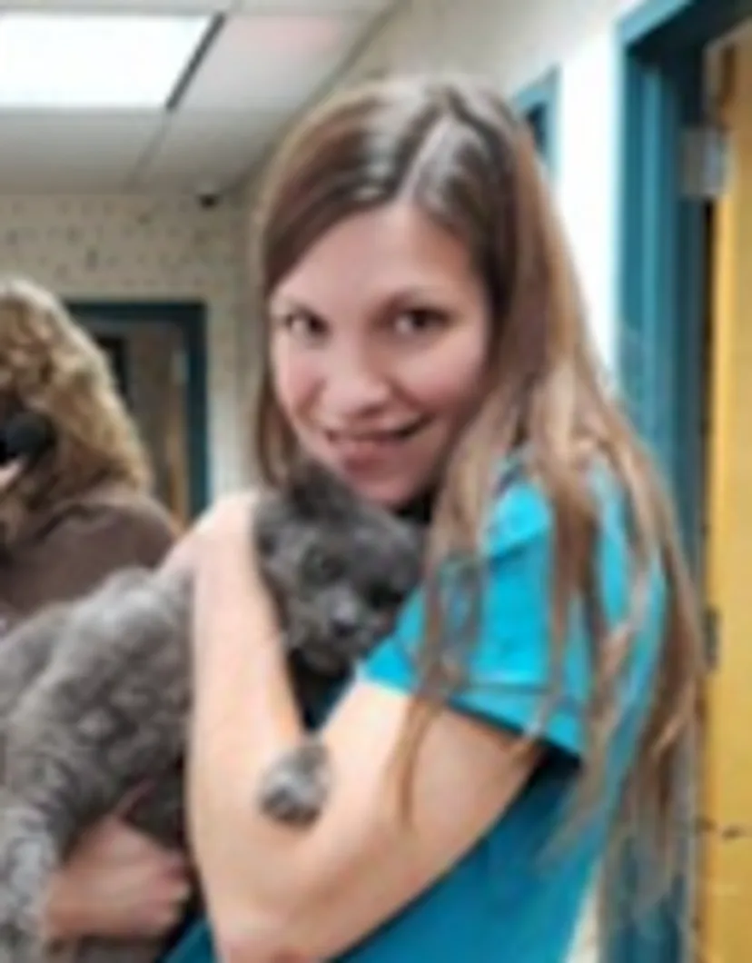Melissa Gillen's staff photo from Shinnecock Animal Hospital where she is holding a grey cat in her arms.