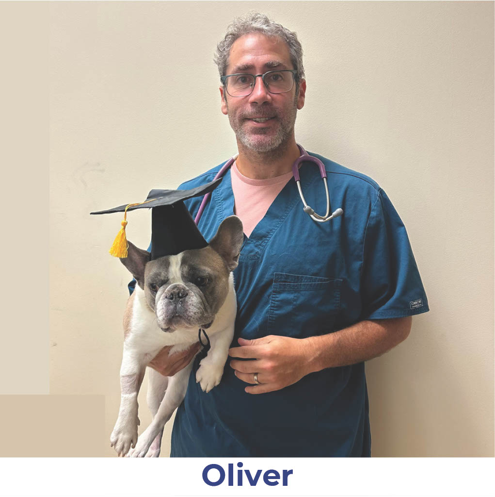 Oliver the dog with Neurology Graduate Hall of Fame certificate