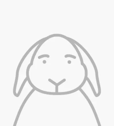 Rabbit Placeholder Rabbit Placeholder