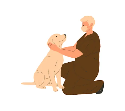 Cartoon Veterinarian Examining Dog Cartoon Veterinarian Examining Dog