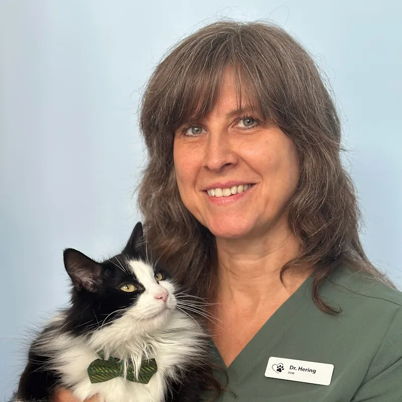 Dr. Kasia Hering, DVM Dr. Kasia Hering, DVM