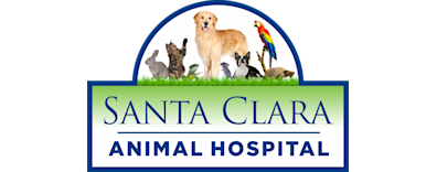 Santa Clara Animal Hospital Logo Santa Clara Animal Hospital Logo