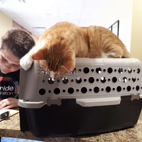 Curious Kiko Curious Kiko