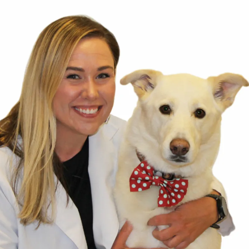 Dr. Kelli Kant Dr. Kelli Kant