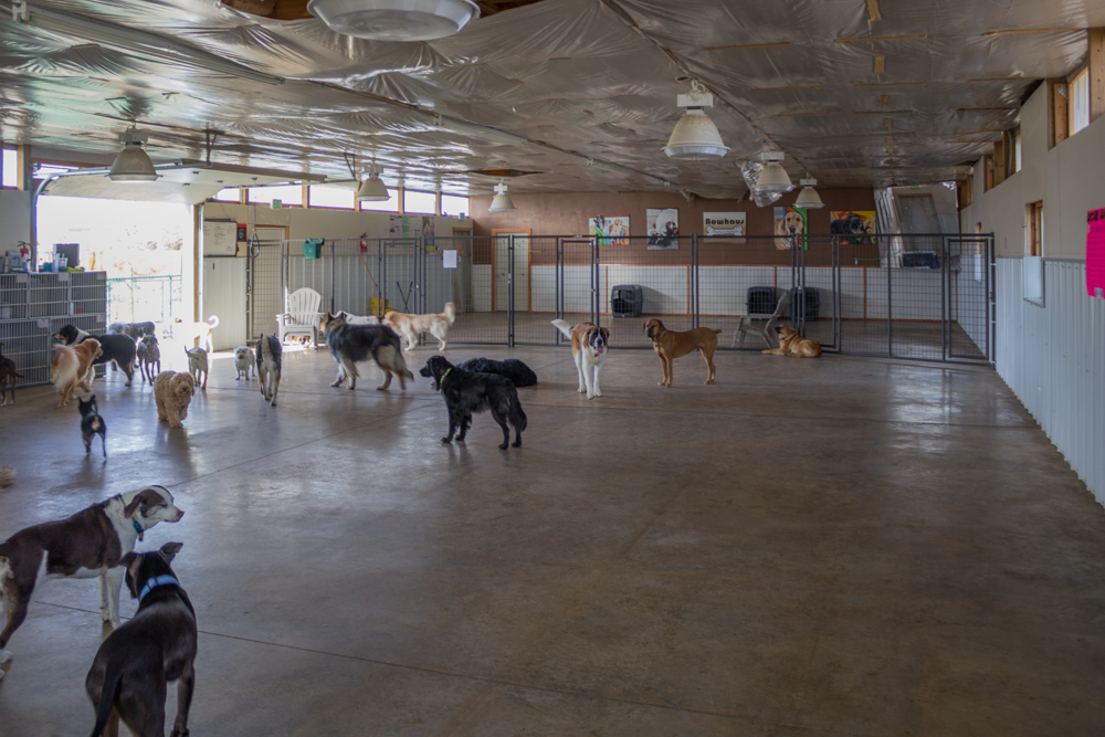 Bowhaus (Erie) Inside Area