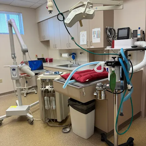 Veterinary Equipment at Kokomo Animal Hospital Veterinary Equipment at Kokomo Animal Hospital