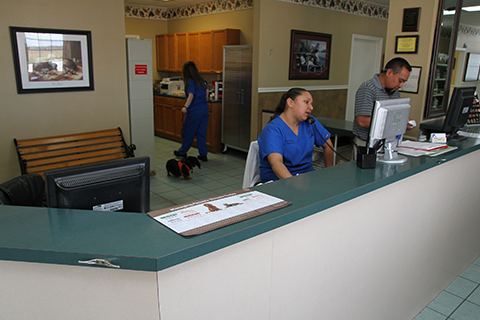 Veterans Memorial Drive Animal Hospital Reception