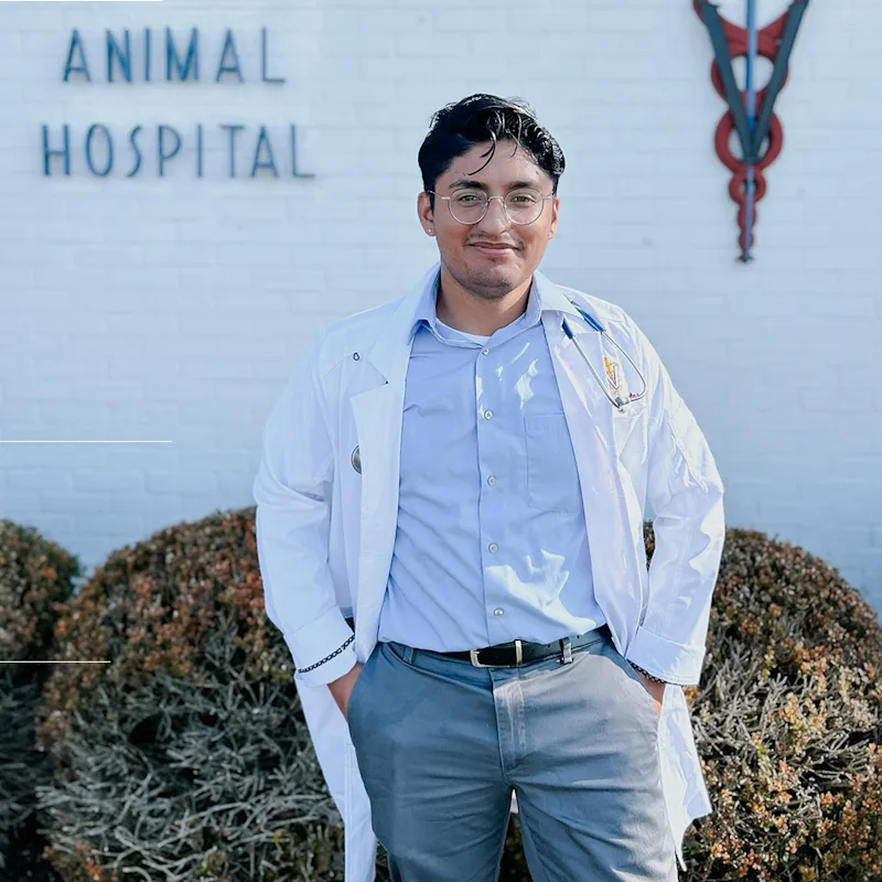 Headshot of Dr. Cristians Rivas Morales against the front of Huffard AH Headshot of Dr. Cristians Rivas Morales against the front of Huffard AH