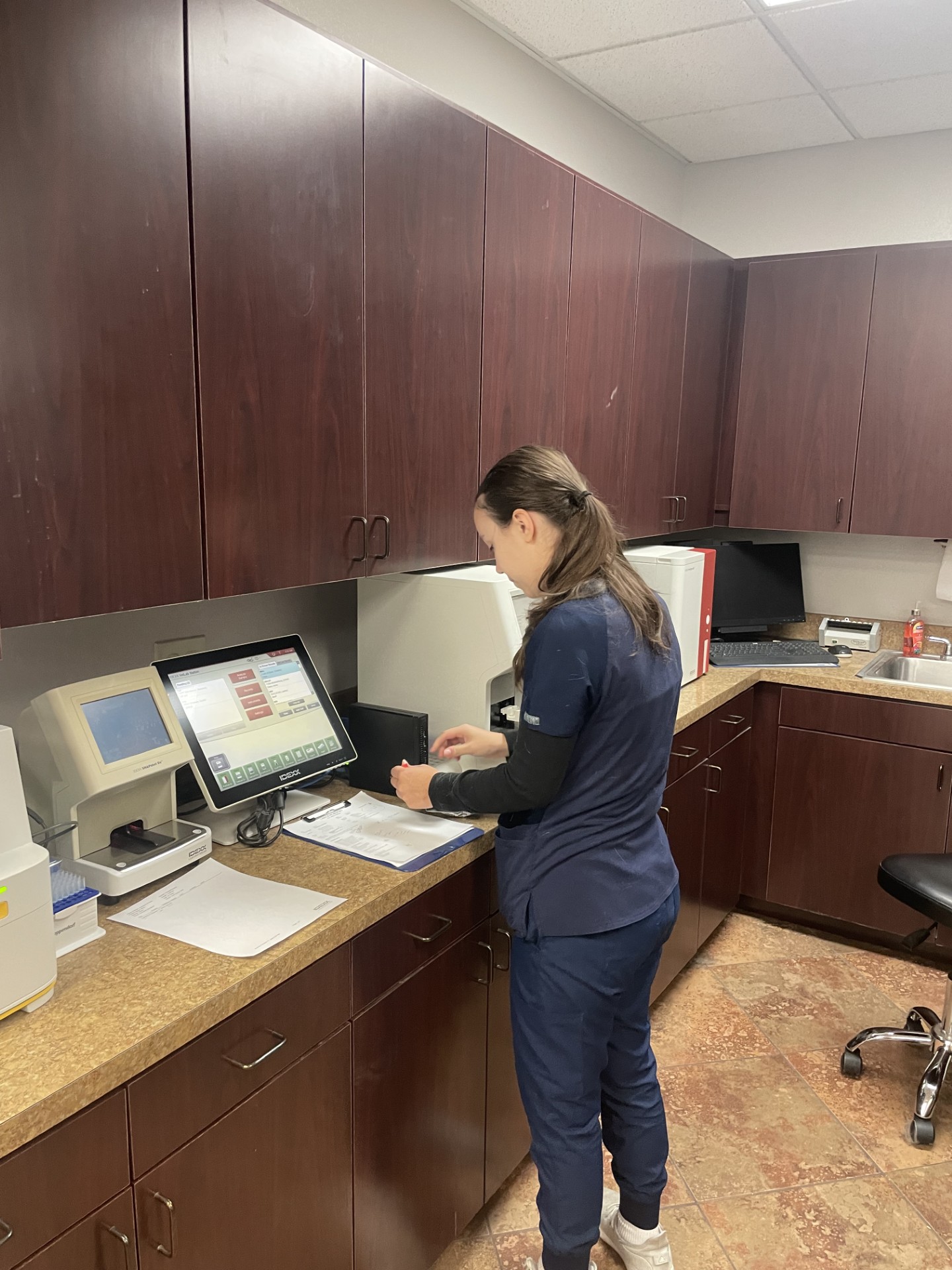 Staff member attending to tests in lab