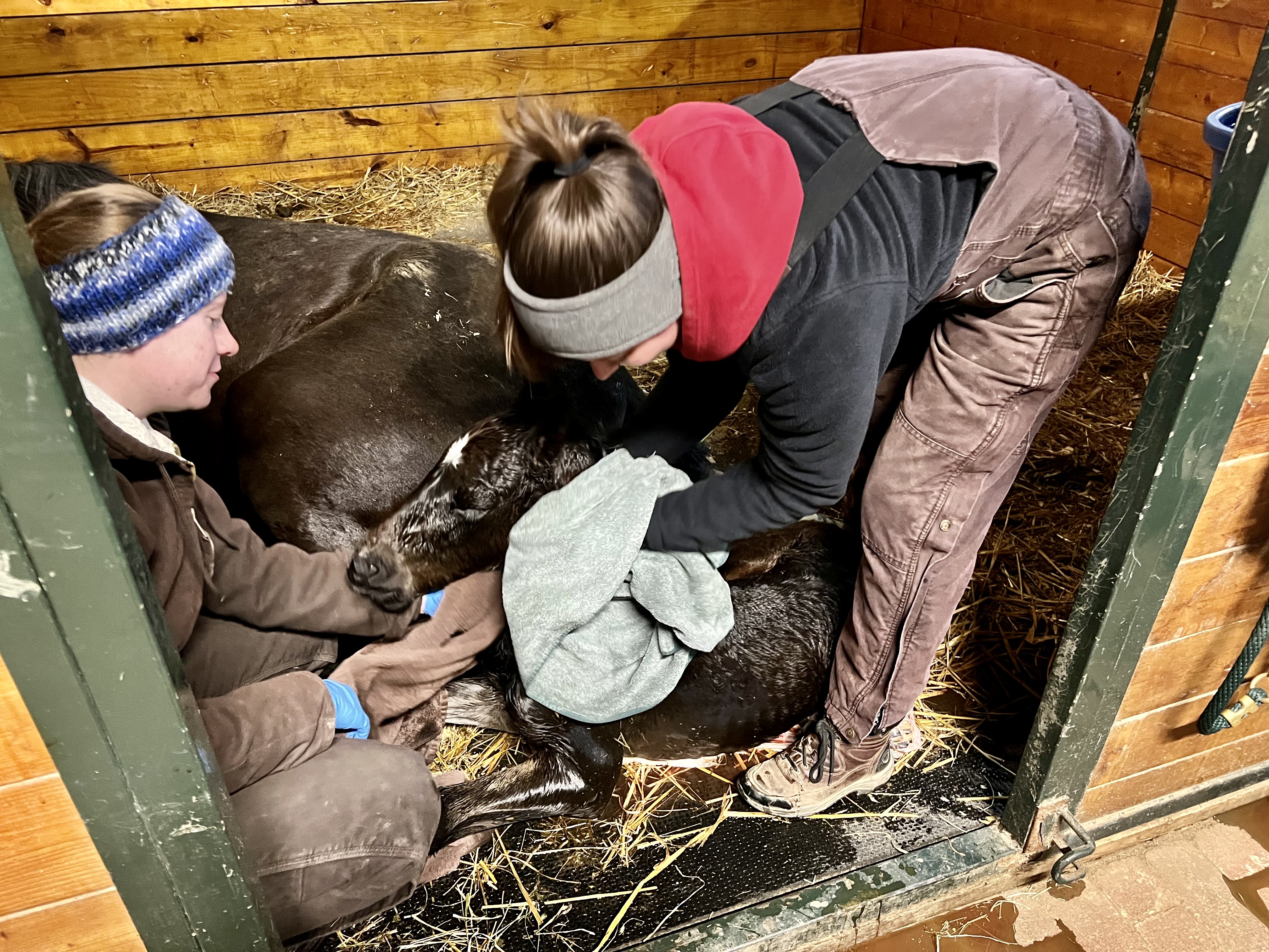 Staff Looking Through Microscope