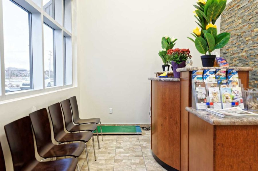 Side of Lobby at Sherwood Veterinary Clinic