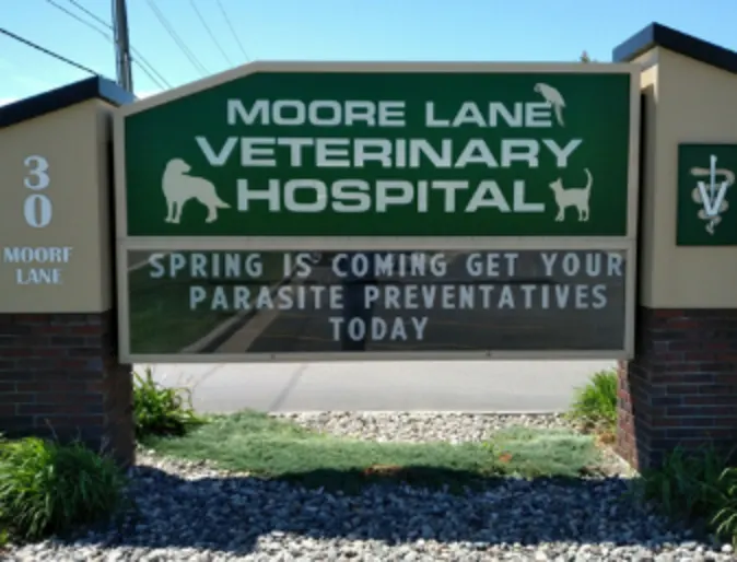 Moore Lane Veterinary Hospital's sign Moore Lane Veterinary Hospital's sign