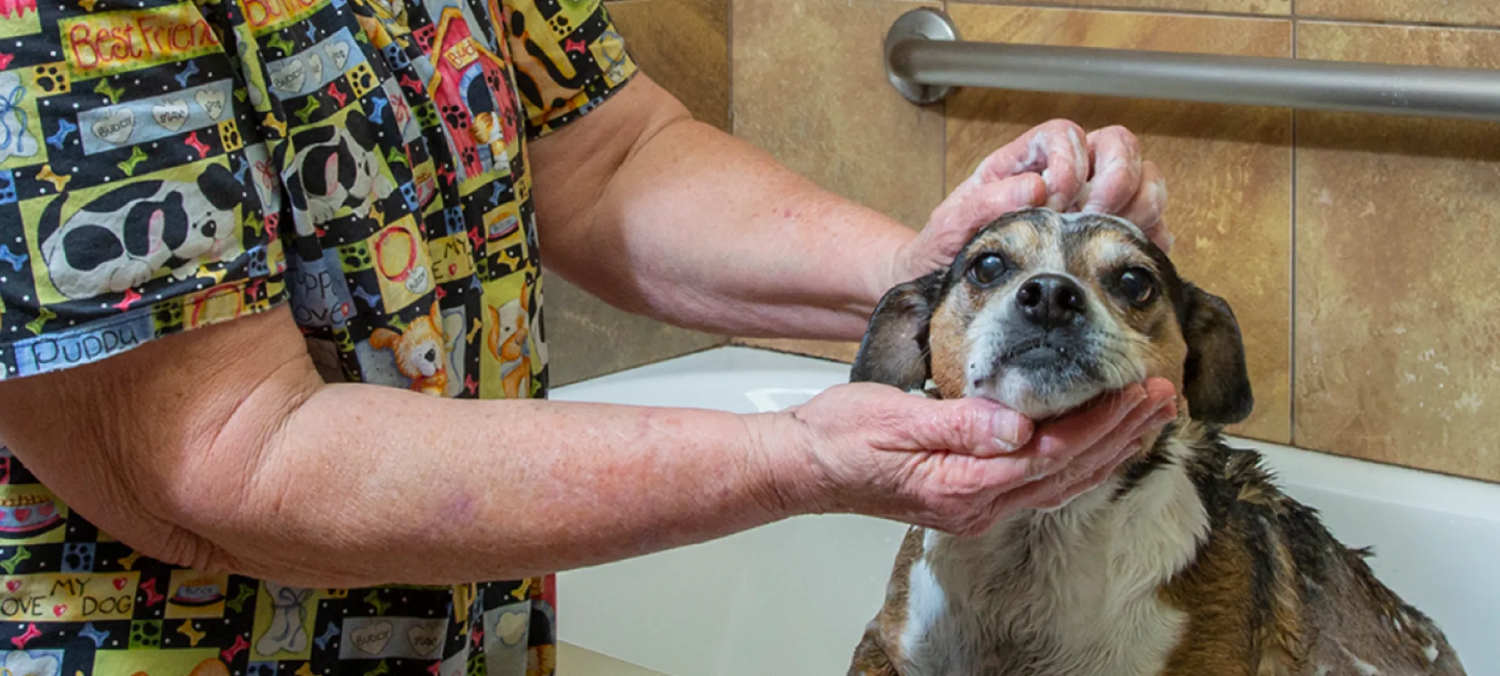 Dog getting a bath 