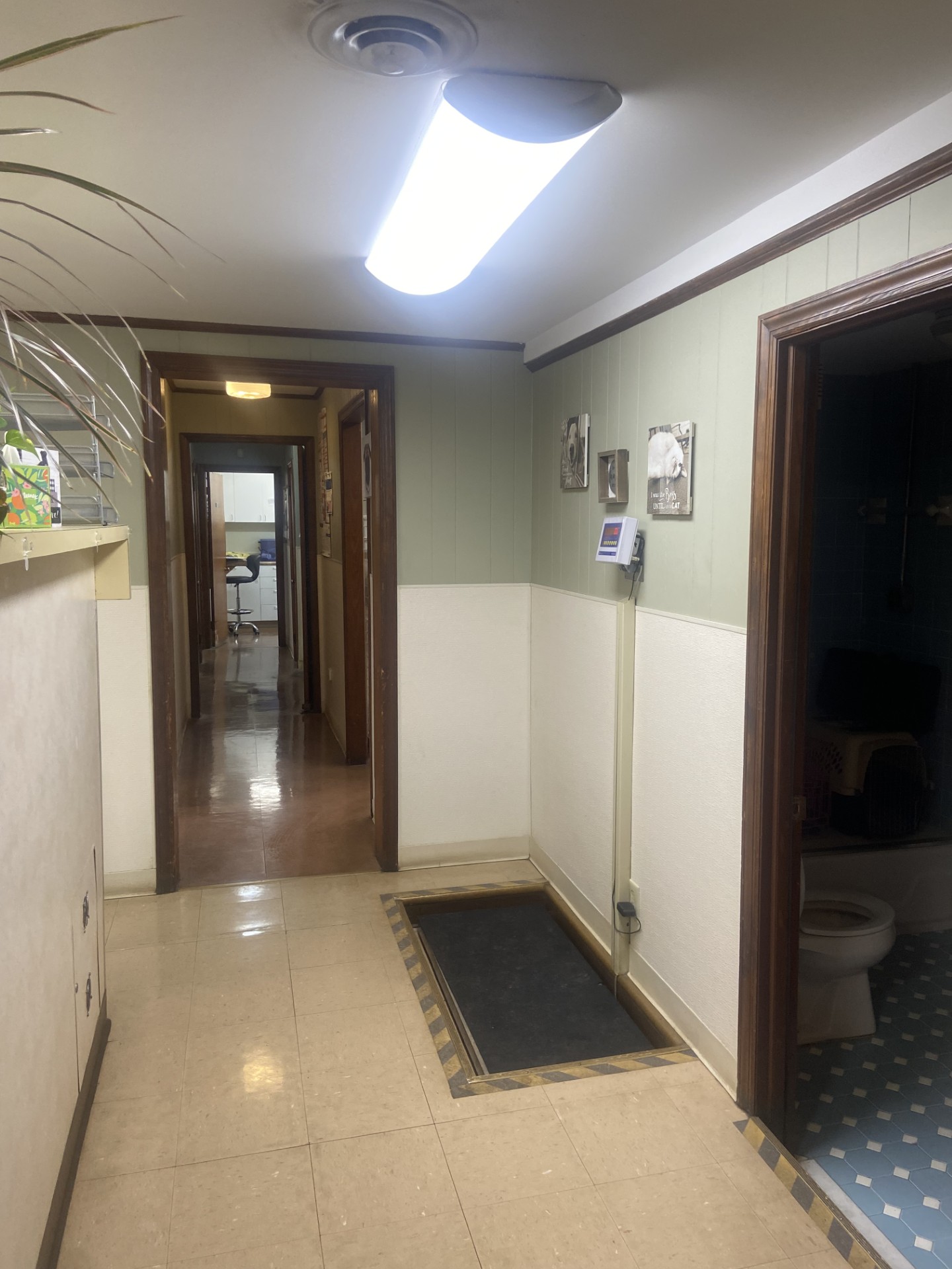 Scale Station at King's Mountain Animal Clinic