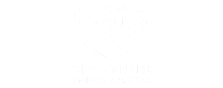 City Centre Animal Hospital Logo City Centre Animal Hospital Logo