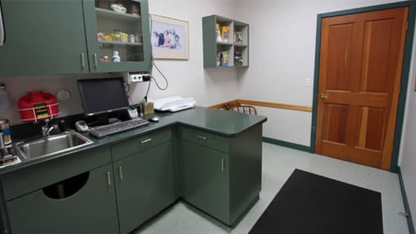 Apple Tree Cove Animal Hospital Pet Exam