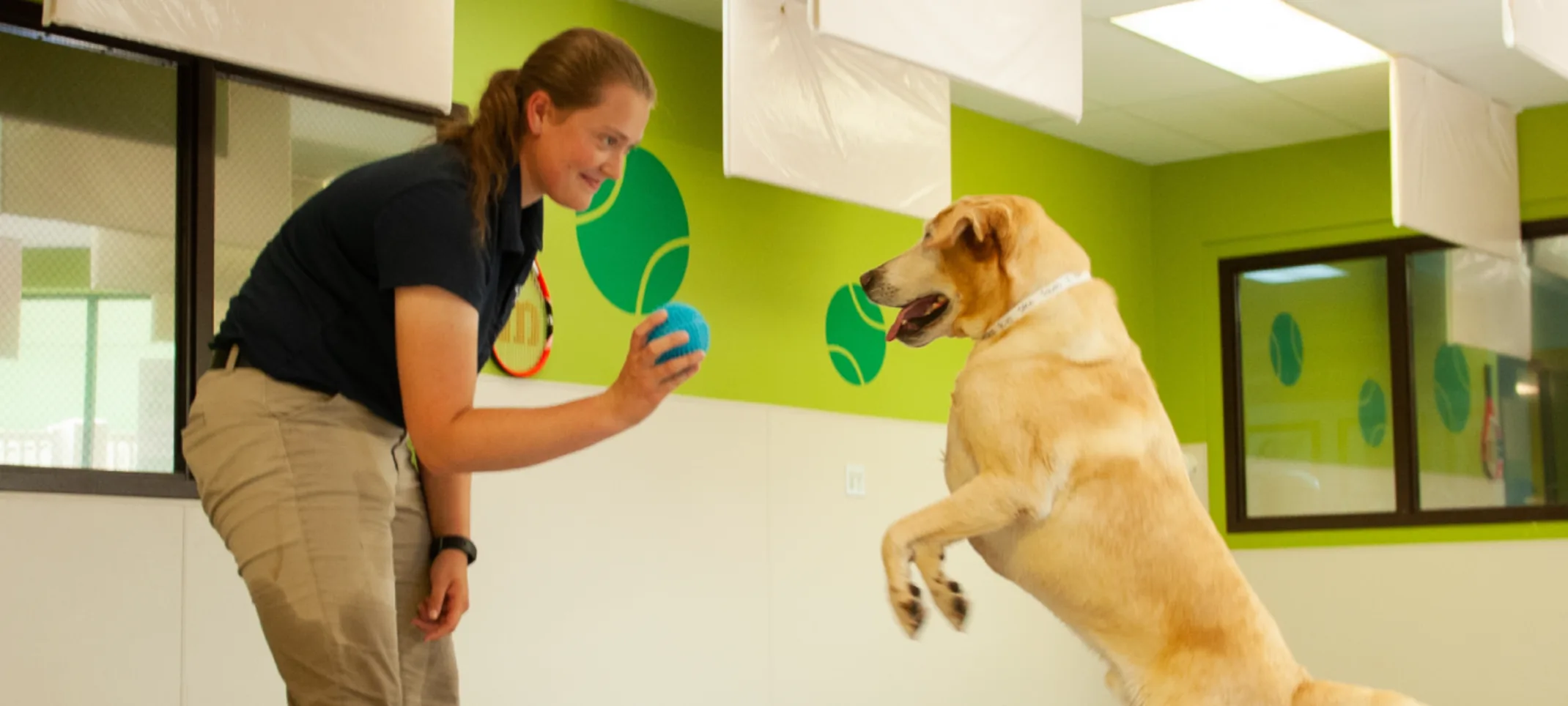 Dog with Trainer and has ball Dog with Trainer and has ball
