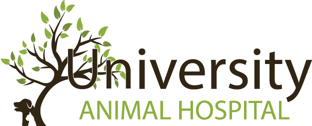 Homepage | University Animal Hospital Orlando