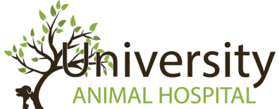 University Animal Hospital Orlando Logo