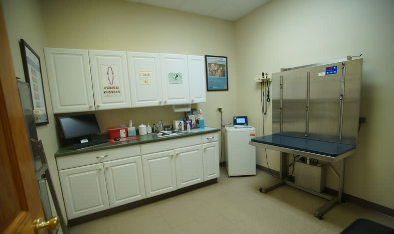 Marbletown Animal Hospital Exam Area