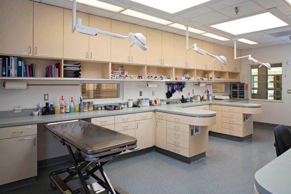 Park Centre Animal Hospital Treatment Room