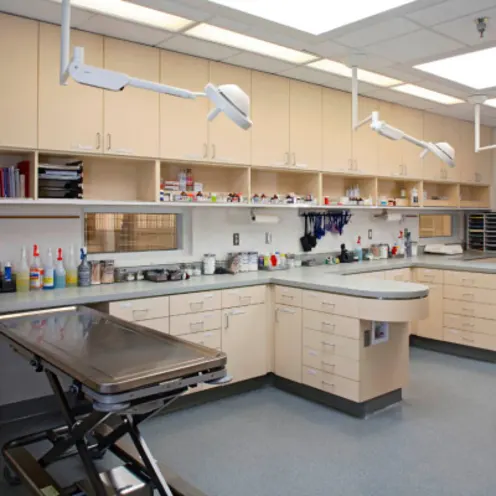 Park Centre Animal Hospital Treatment Room Park Centre Animal Hospital Treatment Room