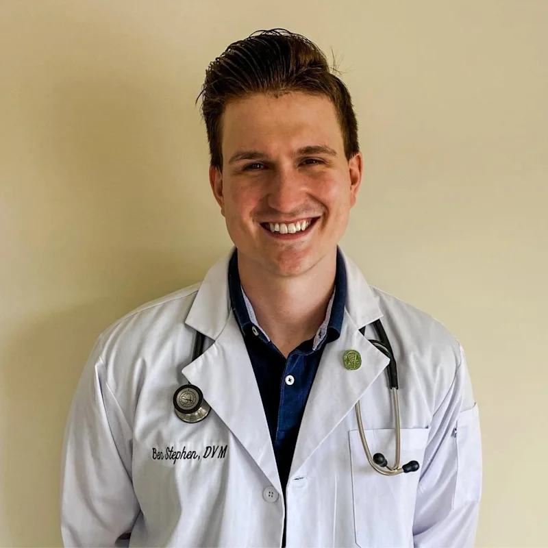 Dr. Ben Stephen Dr. Ben Stephen